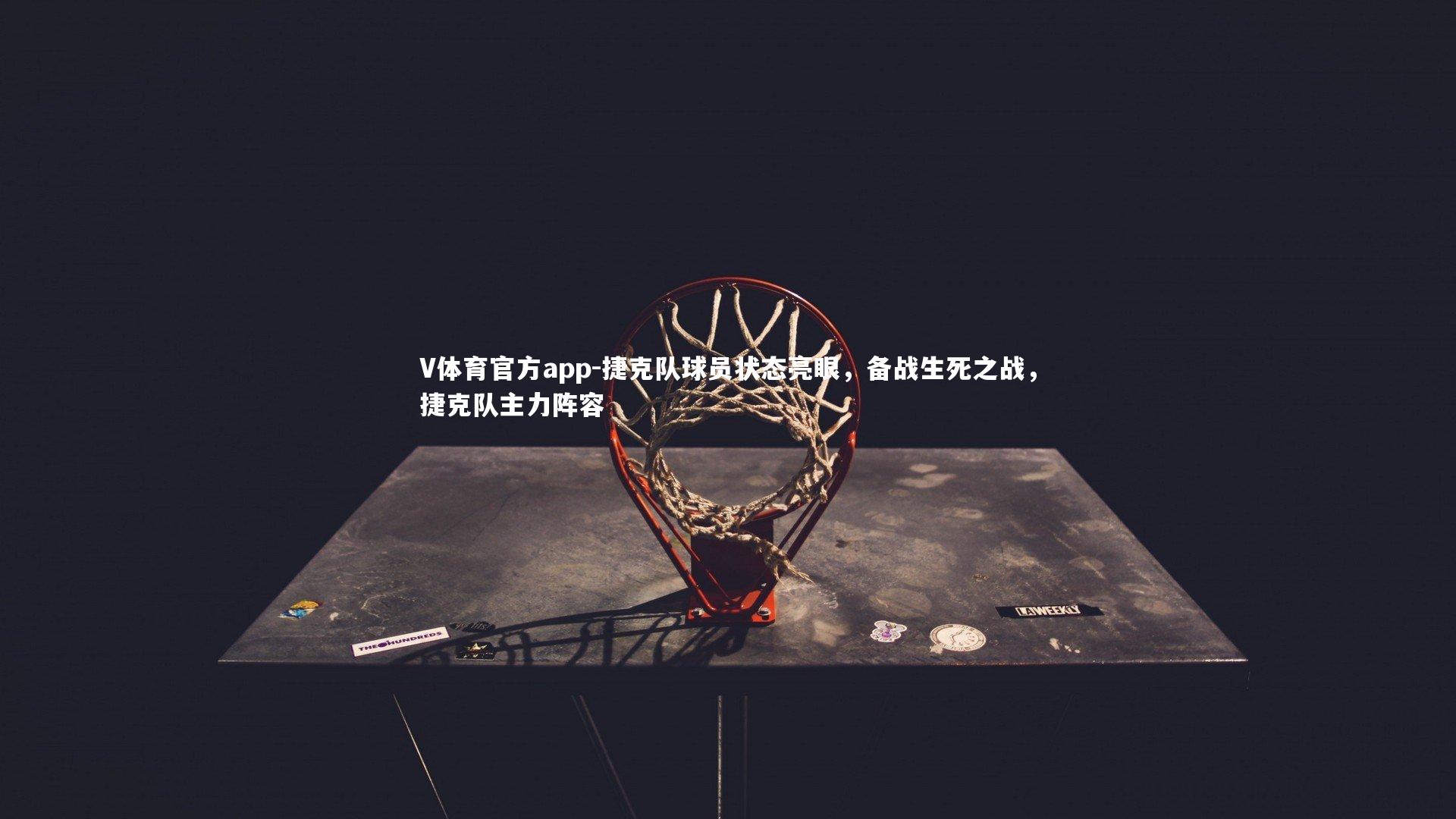 捷克队球员状态亮眼,备战生死之战,捷克队主力阵容