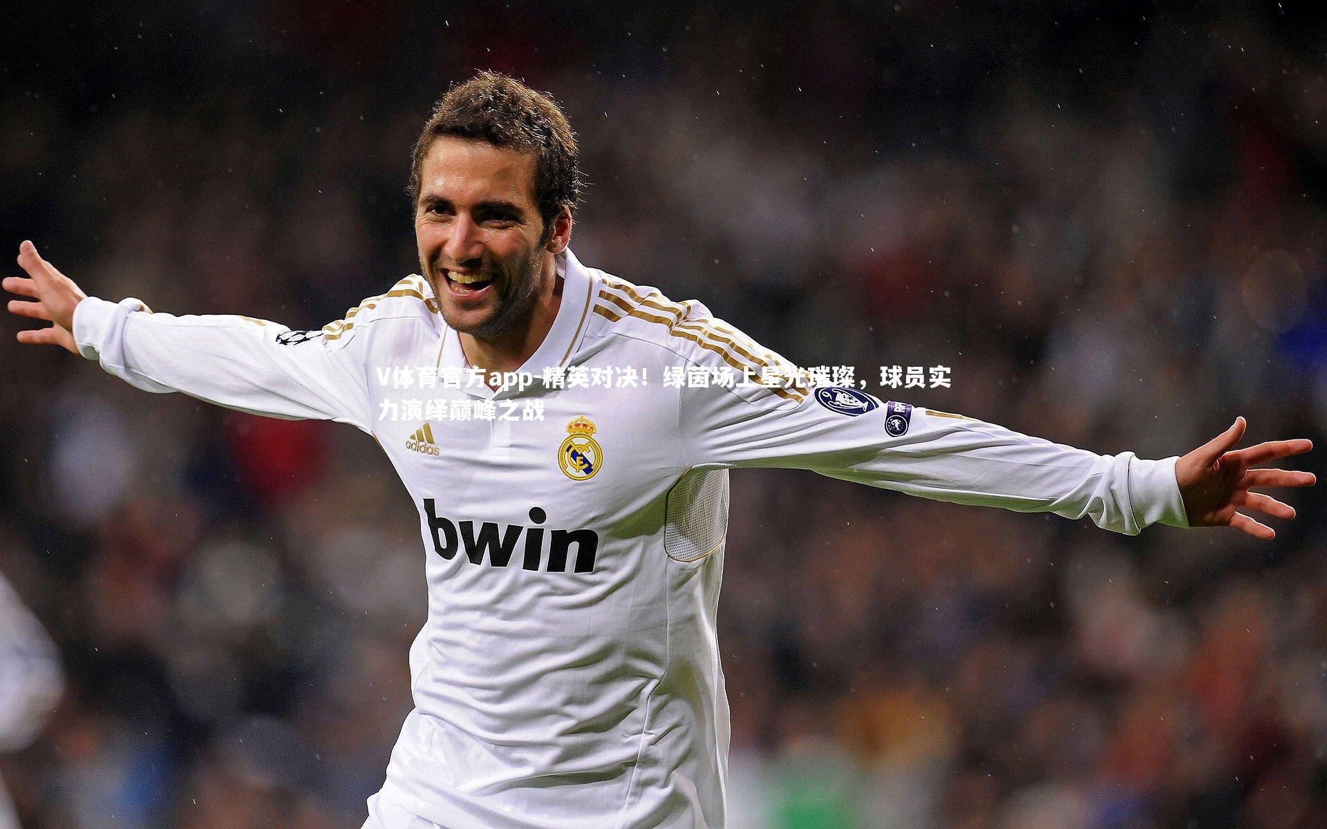 V体育官方app-精英对决！绿茵场上星光璀璨，球员实力演绎巅峰之战